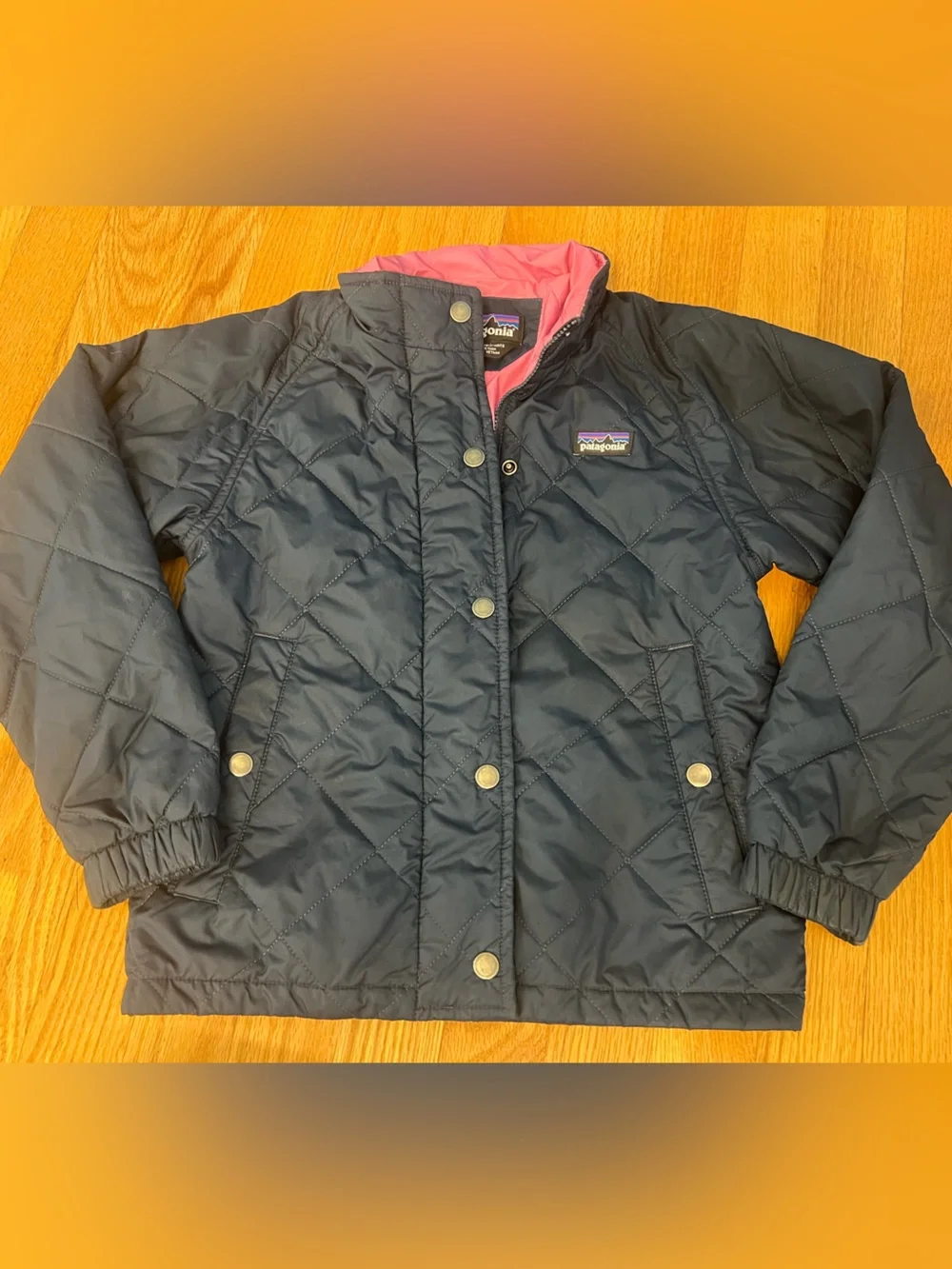 Patagonia Kids Quilted Navy Puffer with Pink Lining jacket